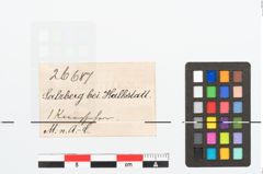 Etikett zu Bronzeknopf (NHMW-PRAE-026687)